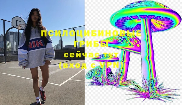 a pvp Медногорск