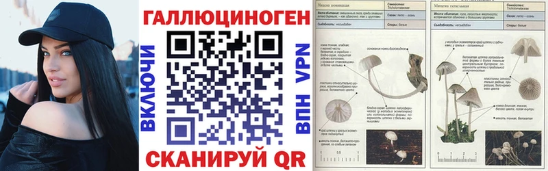 Купить  Бийск  Галлюциногенные грибы MAGIC MUSHROOMS